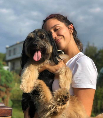 Maja